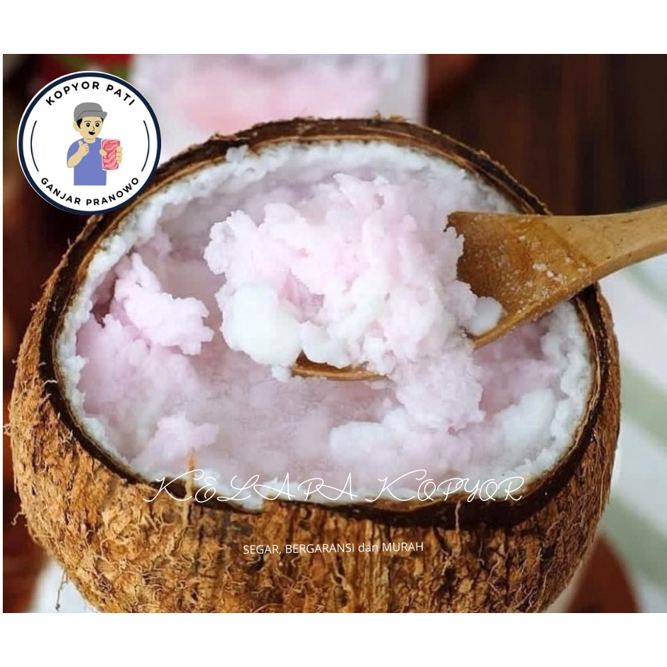 

kelapa kopyor murah size 55-56CM