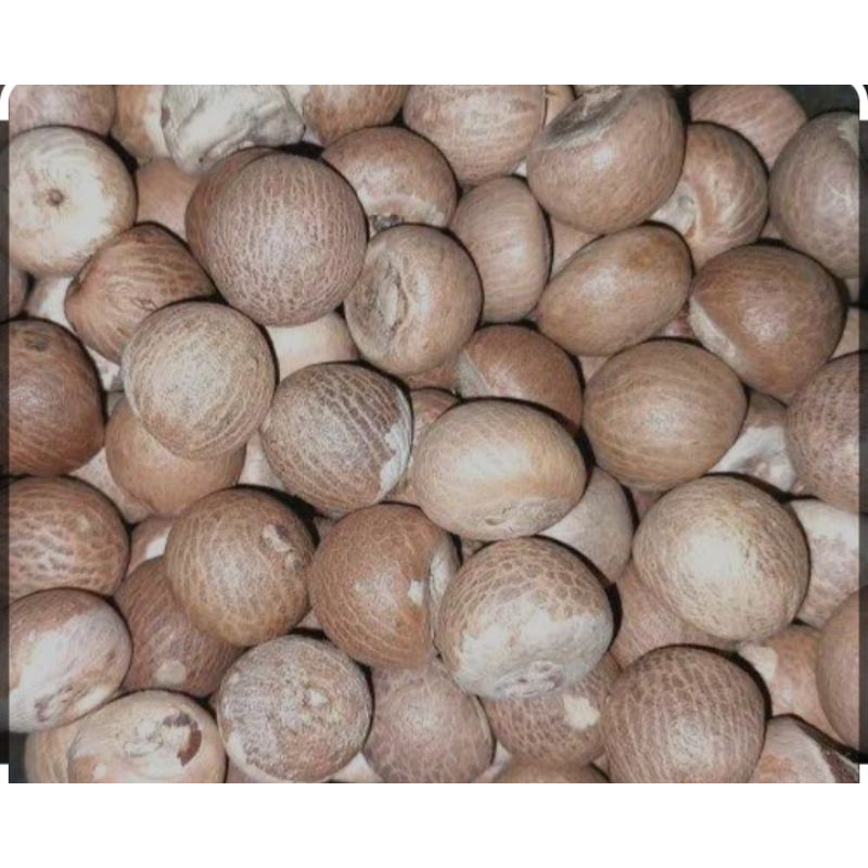 

Biji buah pinang kering