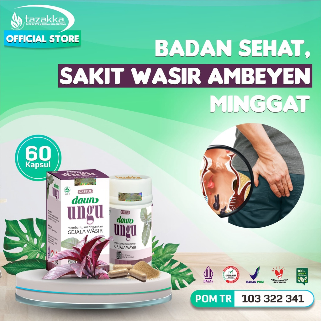 Obat Ambeien Obat Wasir Daun Ungu Obat Wasir Original Tazzaka Kapsul Isi 60 Obat Ambein Obat Wasir