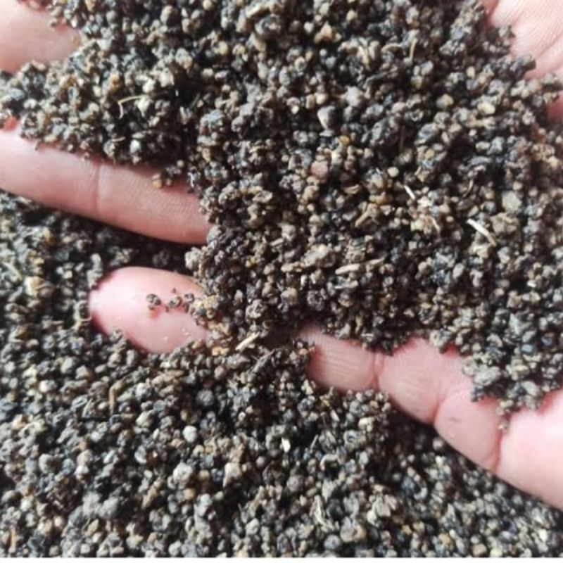 

tiwul singkong homemade