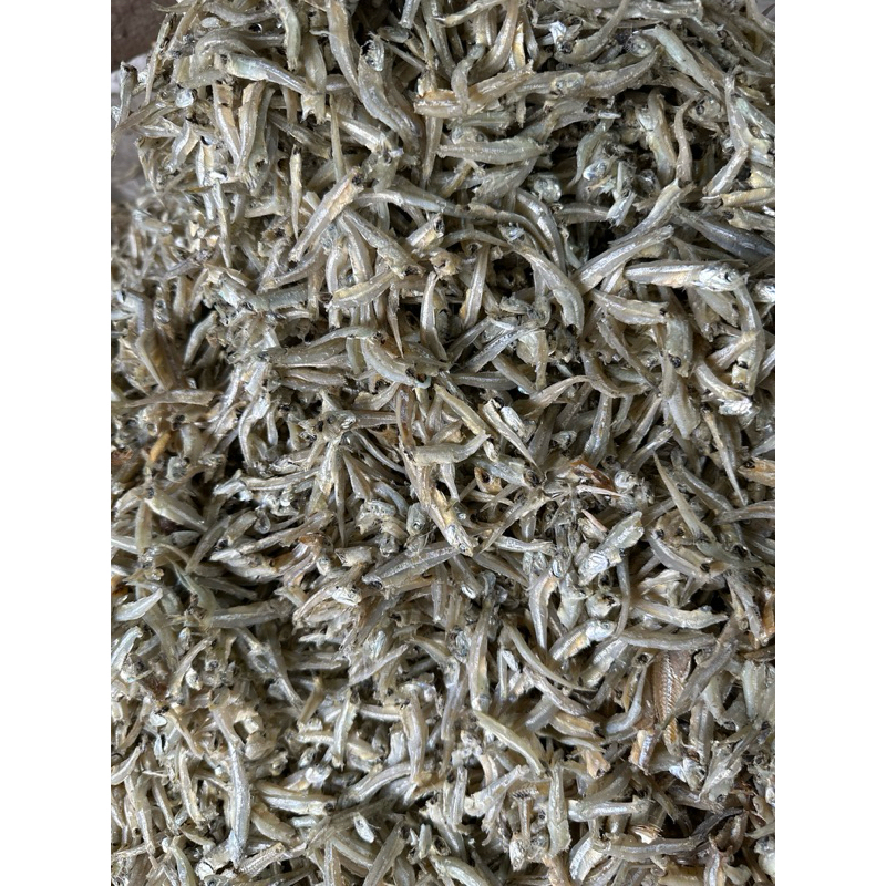 

tri kacang di jamin tidak keras