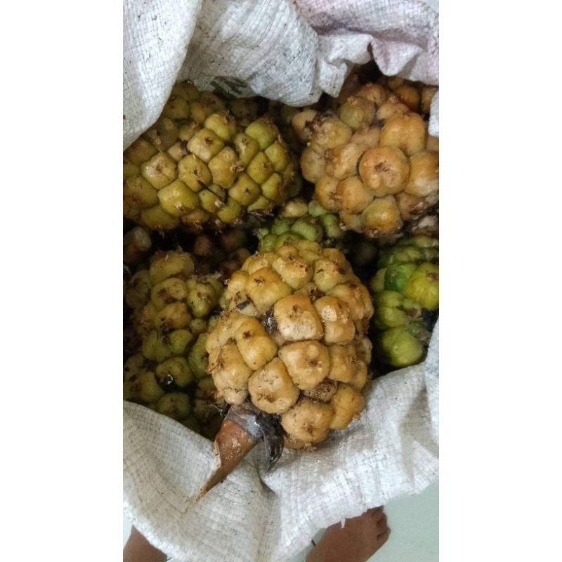 

Asam cikala / 250g