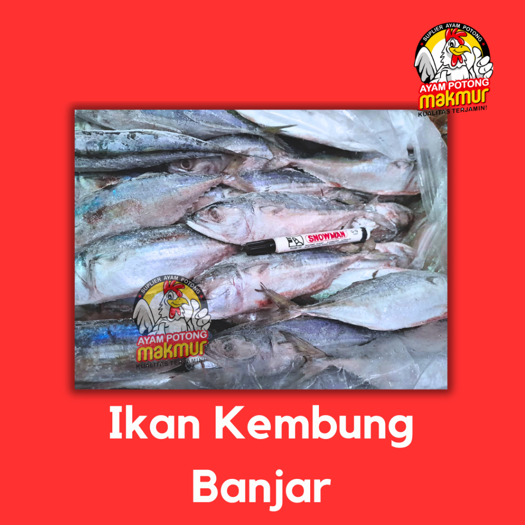 

Ikan Kembung Banjar Premium