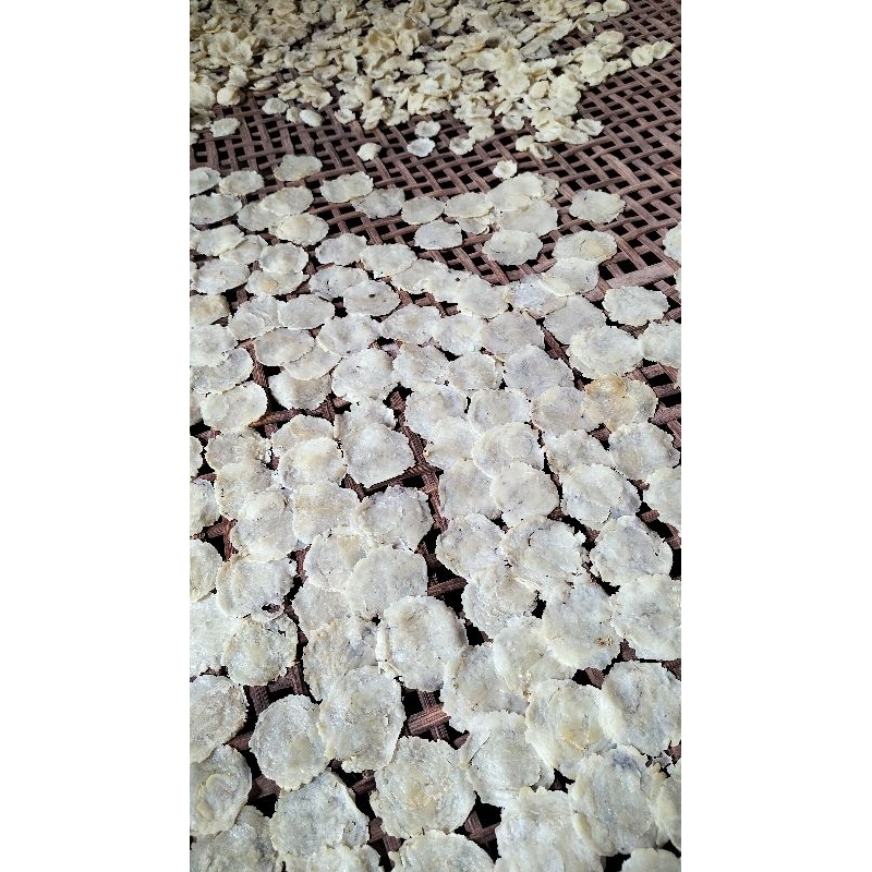

emping melinjo mentah pipih tipis ukuran 1 biji