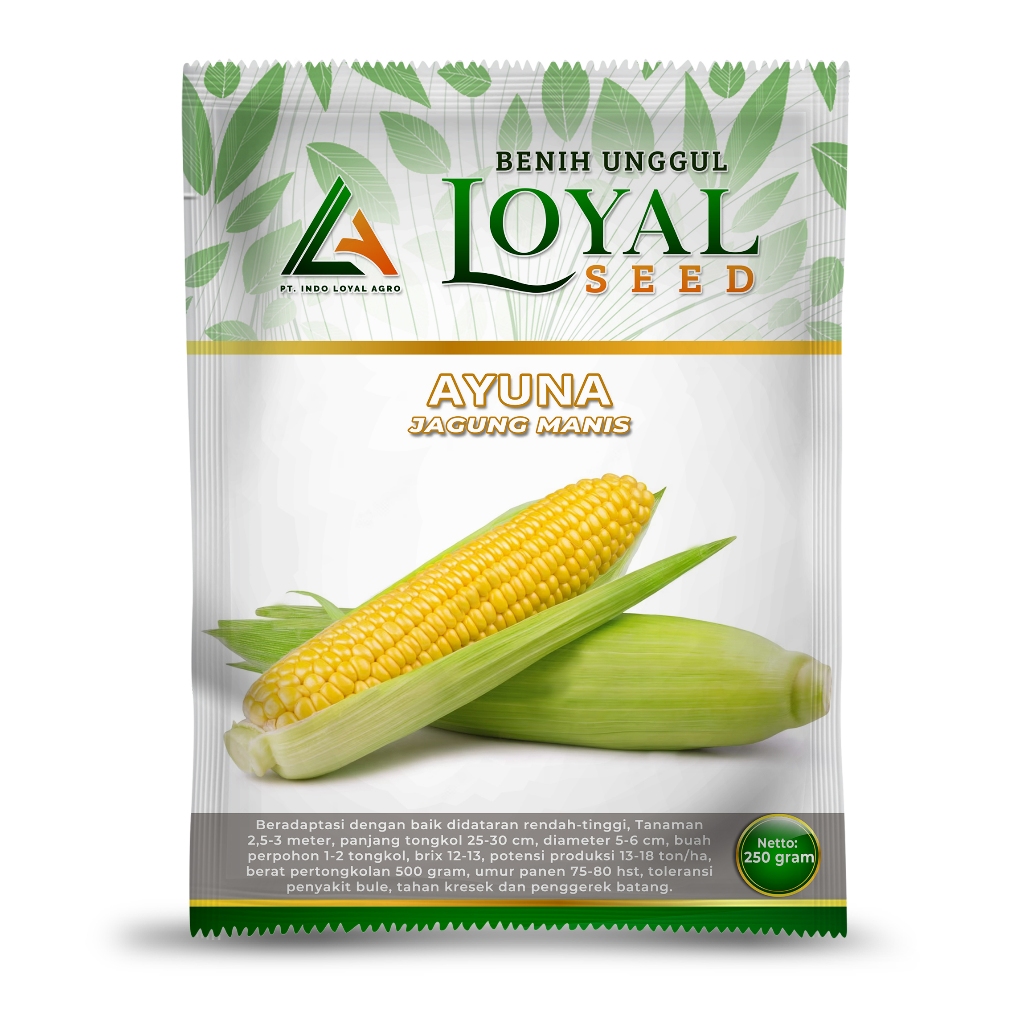 

JAGUNG MANIS UNGGUL AYUNA 250 GRAM CAP LOYAL SEED