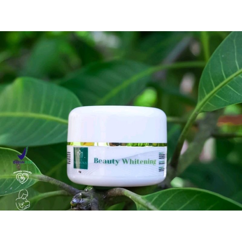 BEAUTY WHITENING NAJMINA DAY CREAM