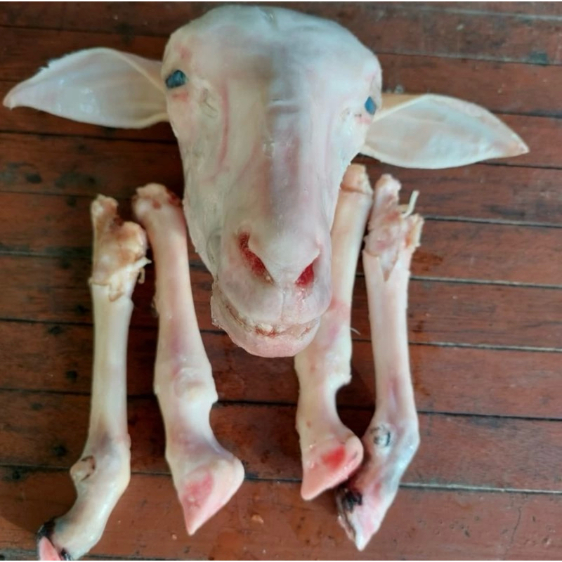 

Kepala Kambing 1 set