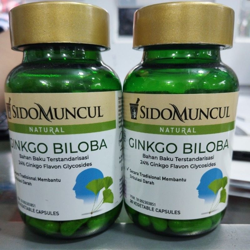 GINKGO BILOBA SIDOMUNCUL