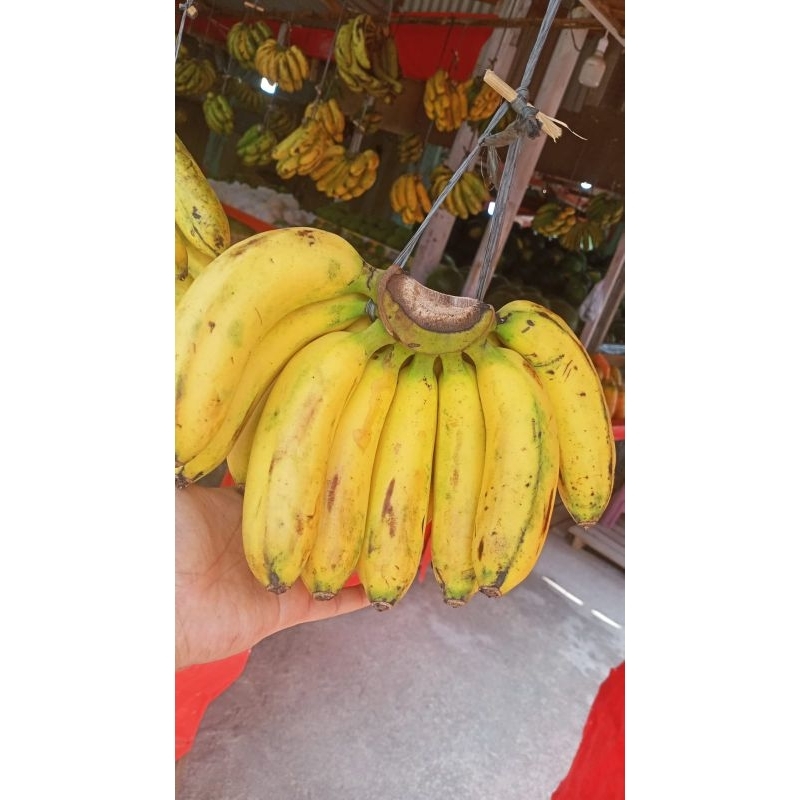 

Pisang Barangan Jumbo 1 Sisir