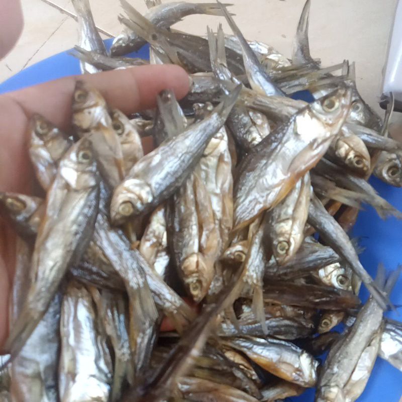 

ikan asin minangin berat 1kg