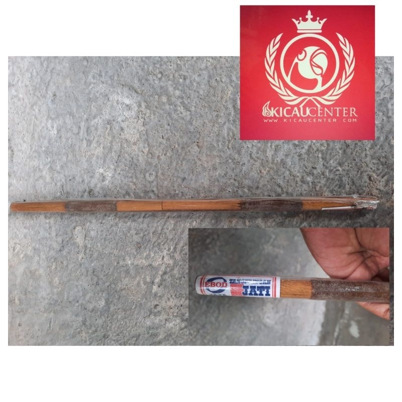 TANGKRINGAN AMPLAS KACER ANIS WAMBI EBOD JAYA