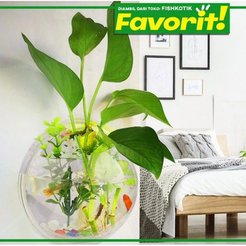 Aquarium Tembok Dinding Bulat Hiasan Aquascape Ikan Hias Tanaman Air