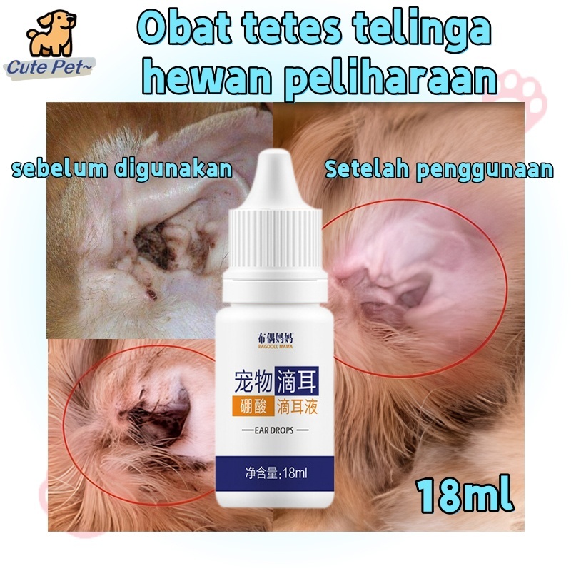 Obat Tetes Telinga Kucing Anti Earmites Conge Gatal dan Infeksi / Obat Pembersih Kotoran Telinga Kuc