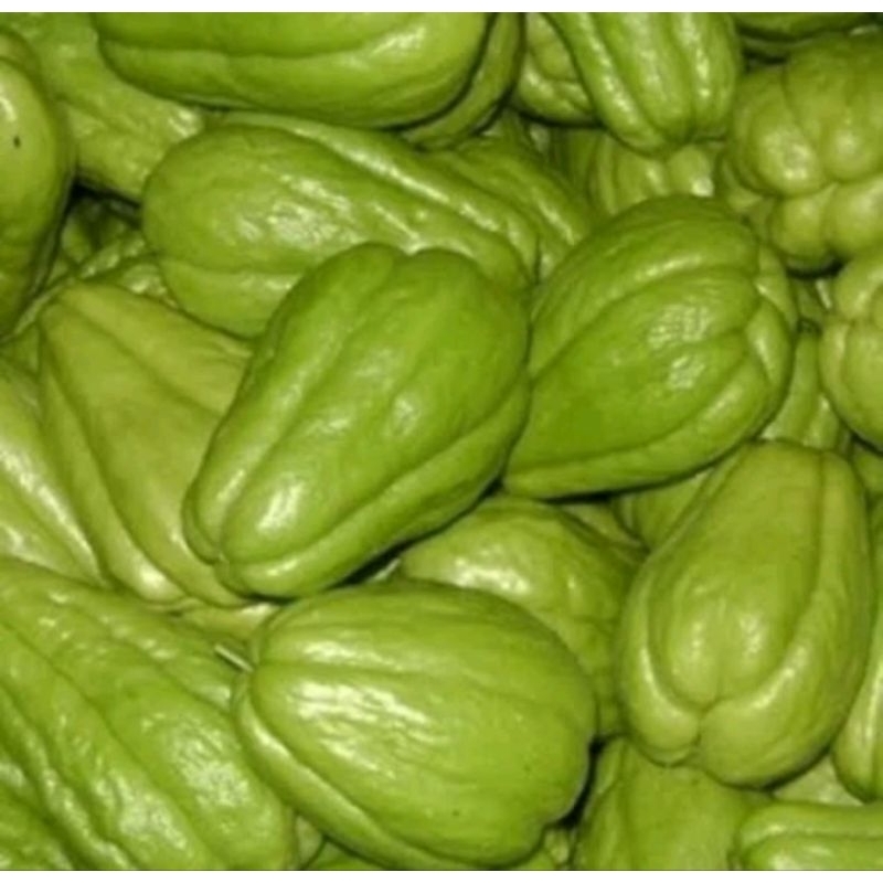 

labu Siam / jipang super dan fres 500 gram