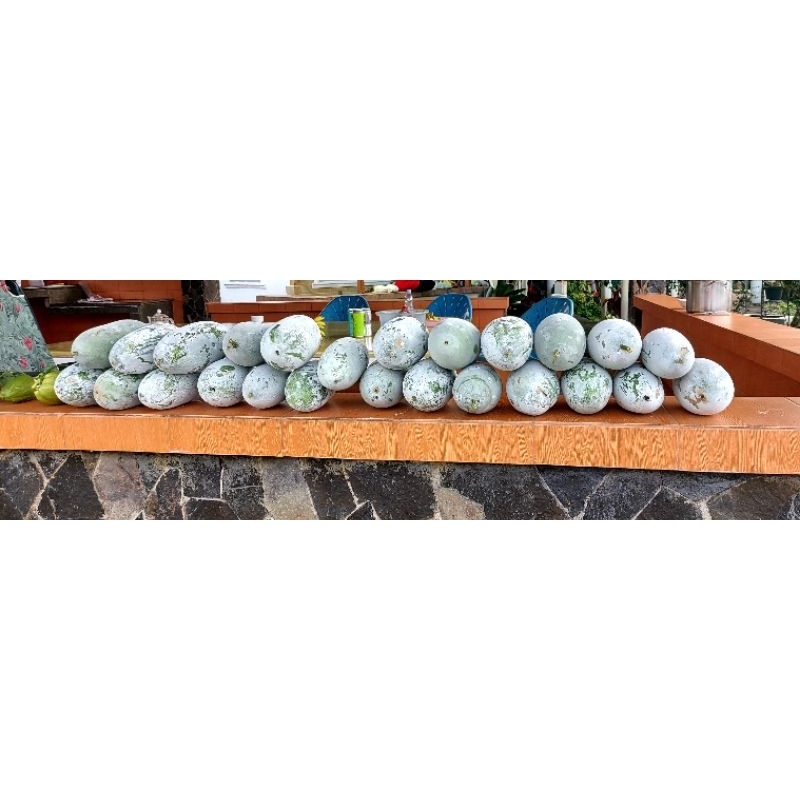 

Buah Kundur (Tung kua) +/- 1.5kg