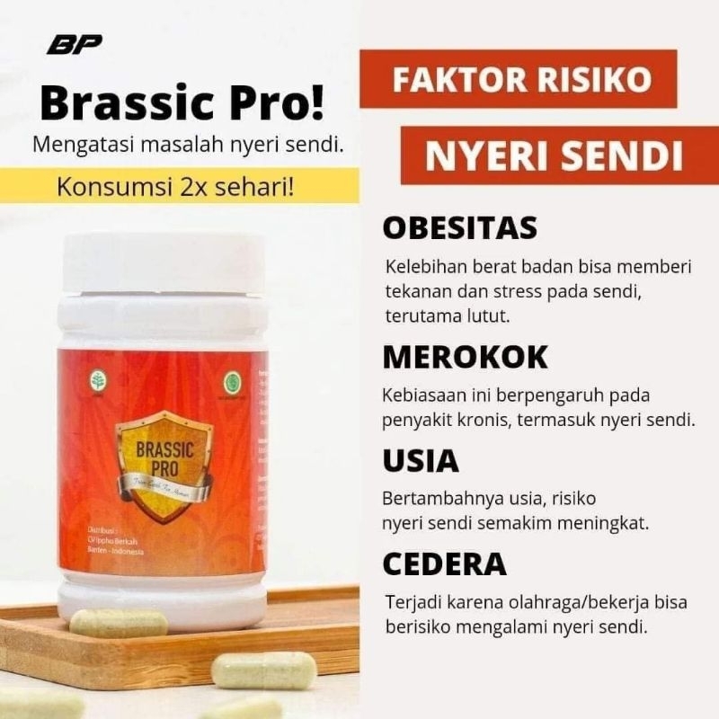 BRASSIC PRO