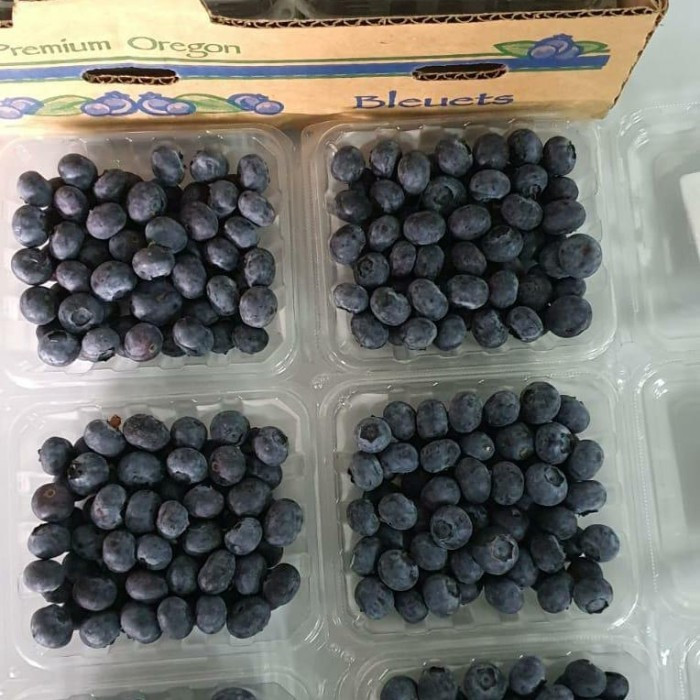 

BUAH BLUEBERRY FRESH IMPORT PER PACK