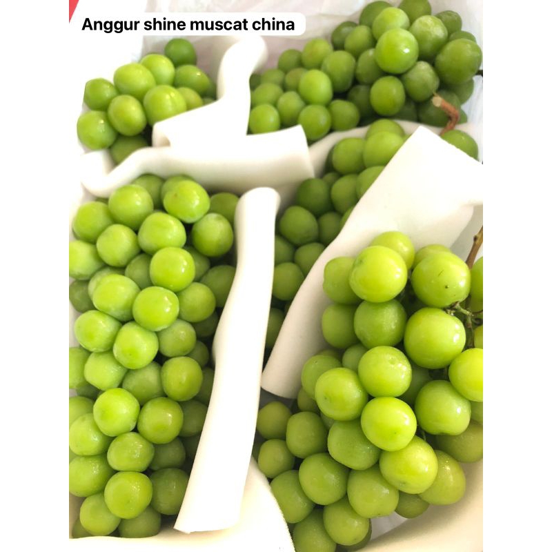 

Anggur Shine Muscat KTA /kg