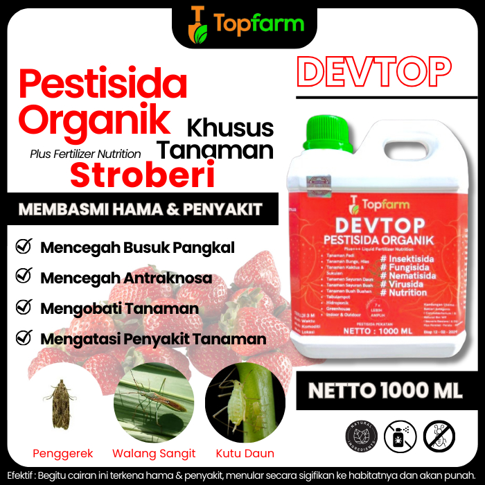 Obat Hama Stroberi / Obat Busuk Buah Stroberi / Obat Buah Stroberi / Obat Akar Stroberi / Obat Hama 