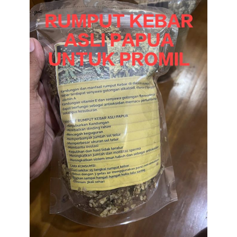 

Rumput Kebar Untuk Kesuburan dan Untuk Promil