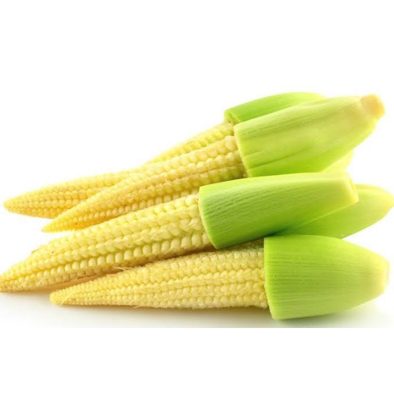 

sayur jagung muda/ikat fress
