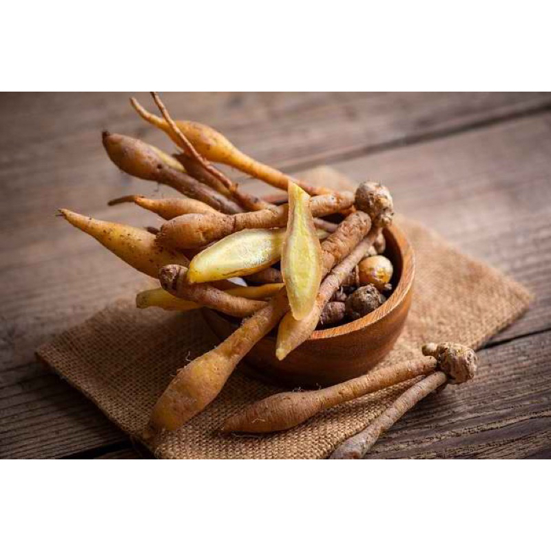 

rempah temu kunci segar 500g
