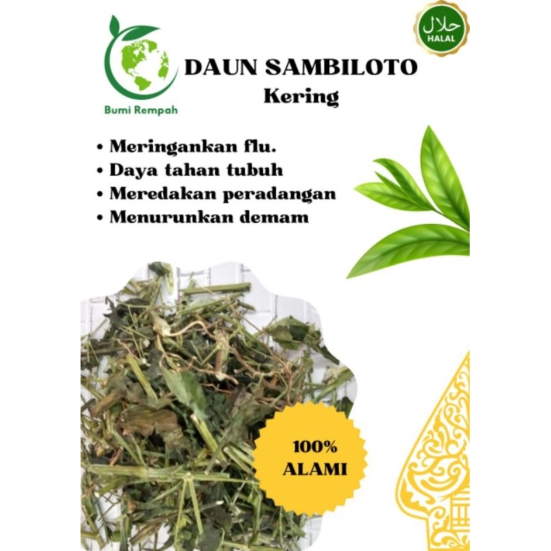 

Sambiloto kering/herbal sambiloto