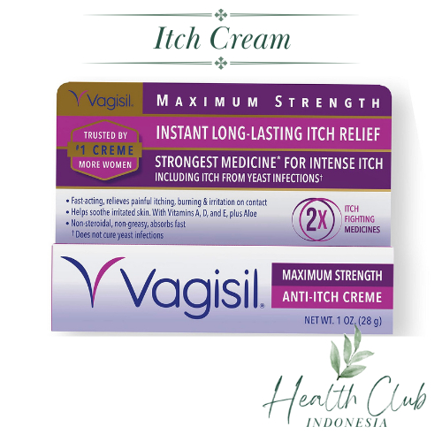Vagisil Max Strength Anti Itch Cream - Vaginal Feminine Itch Cream - Cream Anti Gatal Area Kewanitaa