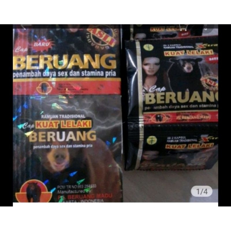 

Sampel Kotak Beruang Hitam