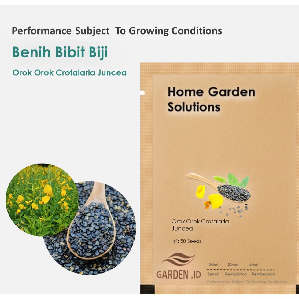 Bibit Benih Orok  orok  Crotalaria Juncea ( Isi 50 Biji )