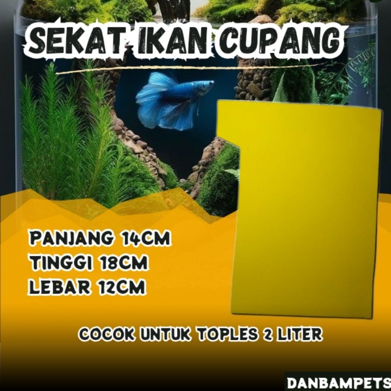 Sekat Aquarium Ikan Cupang 2 Liter / Sekar Toples Cupang 2 Liter