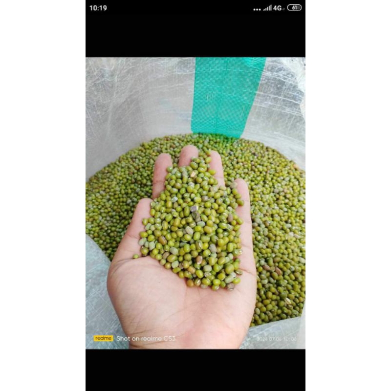 

kacang hijau(1000g)