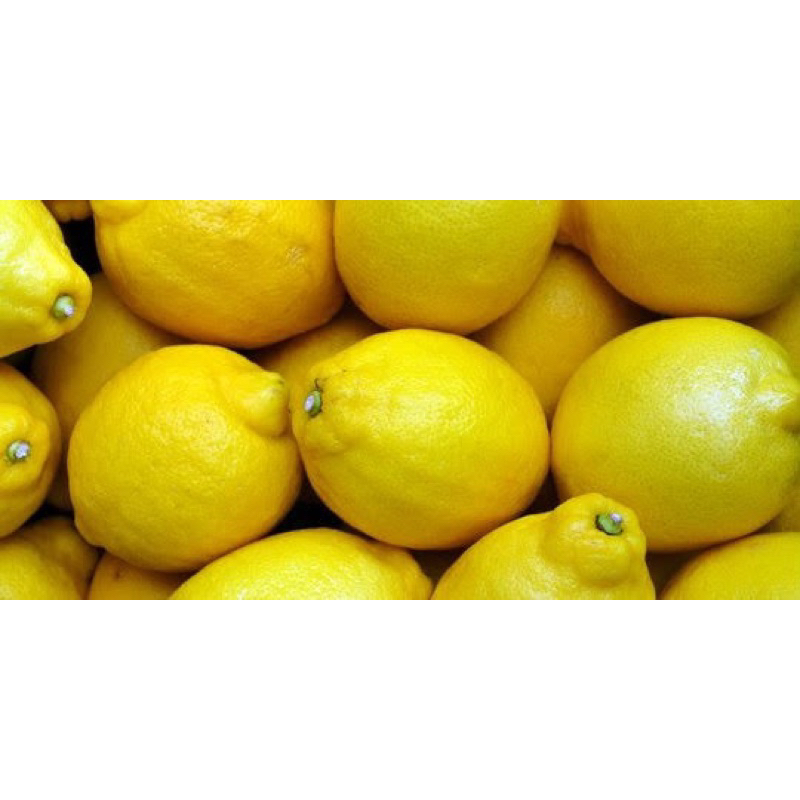 

jeruk lemon 500 gr