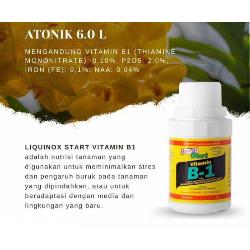 PUPUK VITAMIN B1 COCOK UNTUK SEMUA JENIS TANAMAN