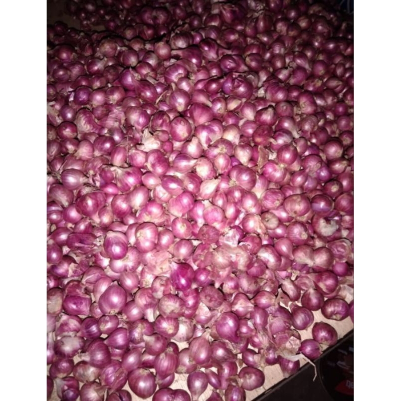 

BAWANG MERAH MURAH MERIAH 1KG