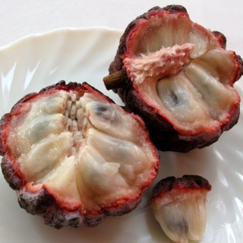 

Buah srikaya merah manis
