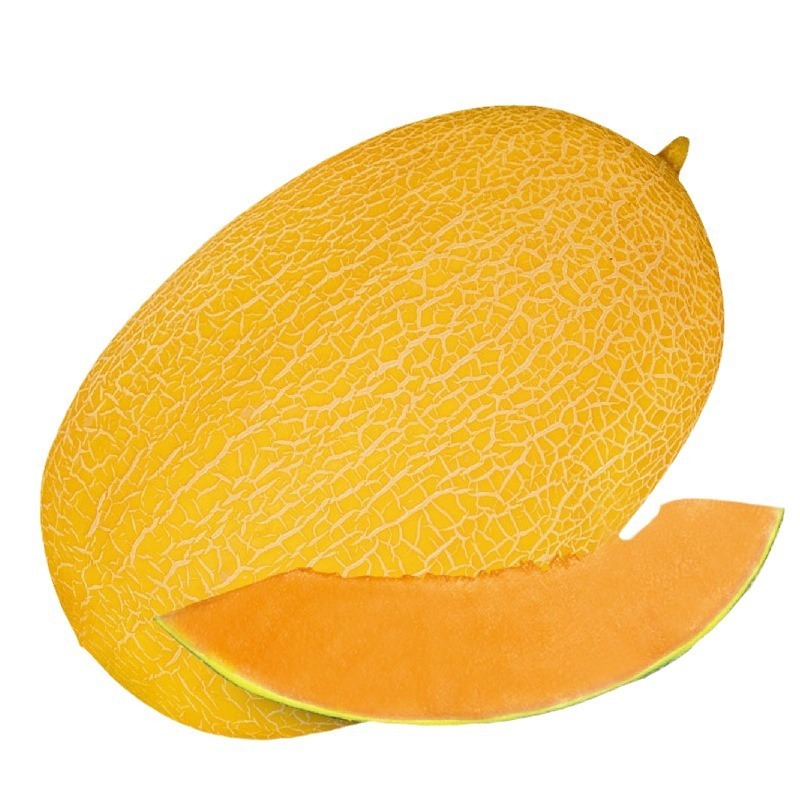 Benih Melon Hami Madu Pasir Emas 50 Biji F1 Import