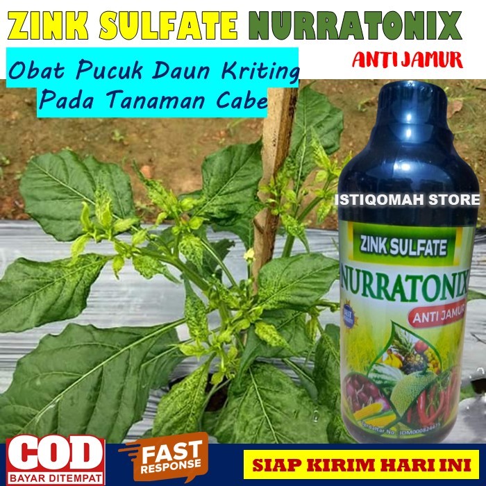 100% AMPUH Pupuk Cair Obat Semprot Pucuk Daun Kriting Pada Tanaman Cabe Cabai ZINK NURRATONIX 500ML