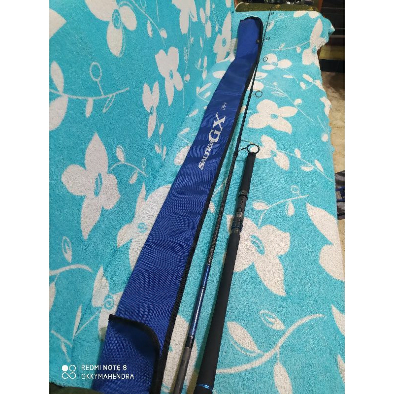 Joran DAIWA SALTIGA GX C79-4