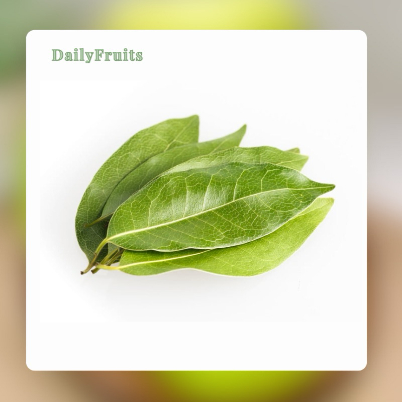 

Daun Salam Super Fresh | DailyFruits