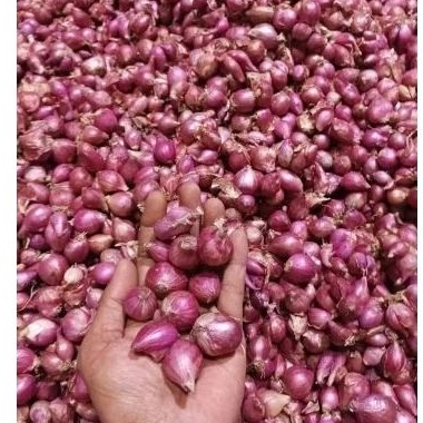 

bawang merah Brebes 1kg