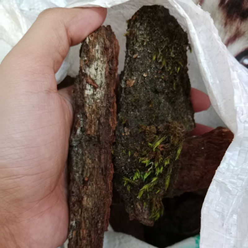 Kulit Pinus/Pinebark ukuran karung 10kg | Media Anggrek Pinebark | Media Anggrek Kulit Pinus