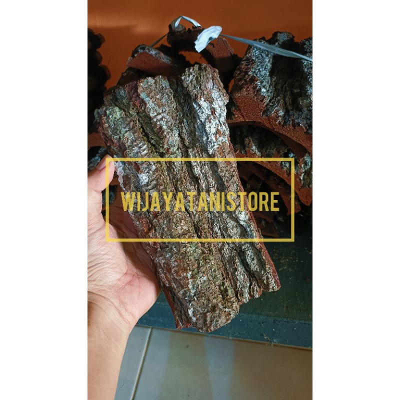 Kulit Pinus Lempeng | Kulit Pinus Media Tempel Anggrek