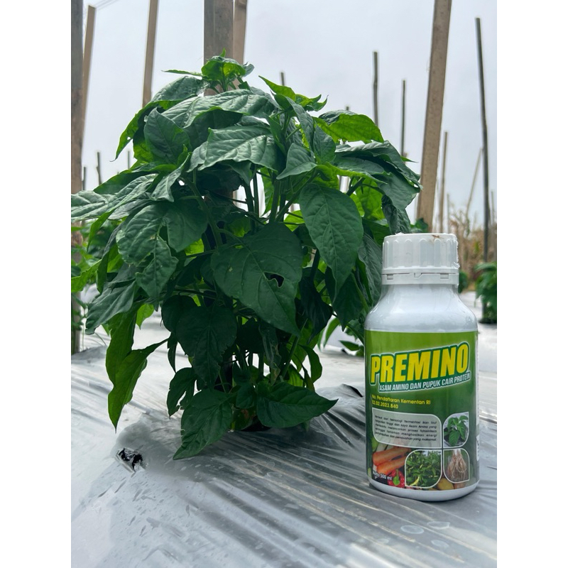 PREMINO 1liter