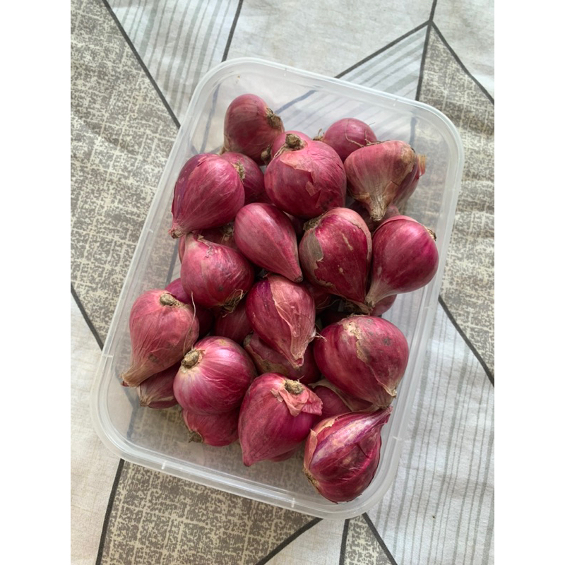 

Bawang Merah Fresh