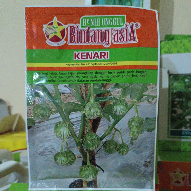 Terong lalap kenari 10 gram