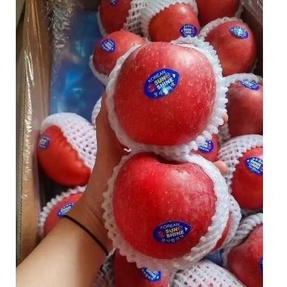 

Apel Premium Korean Sun Shine Fresh/500gr