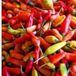 

Cabe rawit merah, cabe keriting merah, cabe keriting hijau, cabe merah besar, cabe hijau besar, cabe rawit hijau