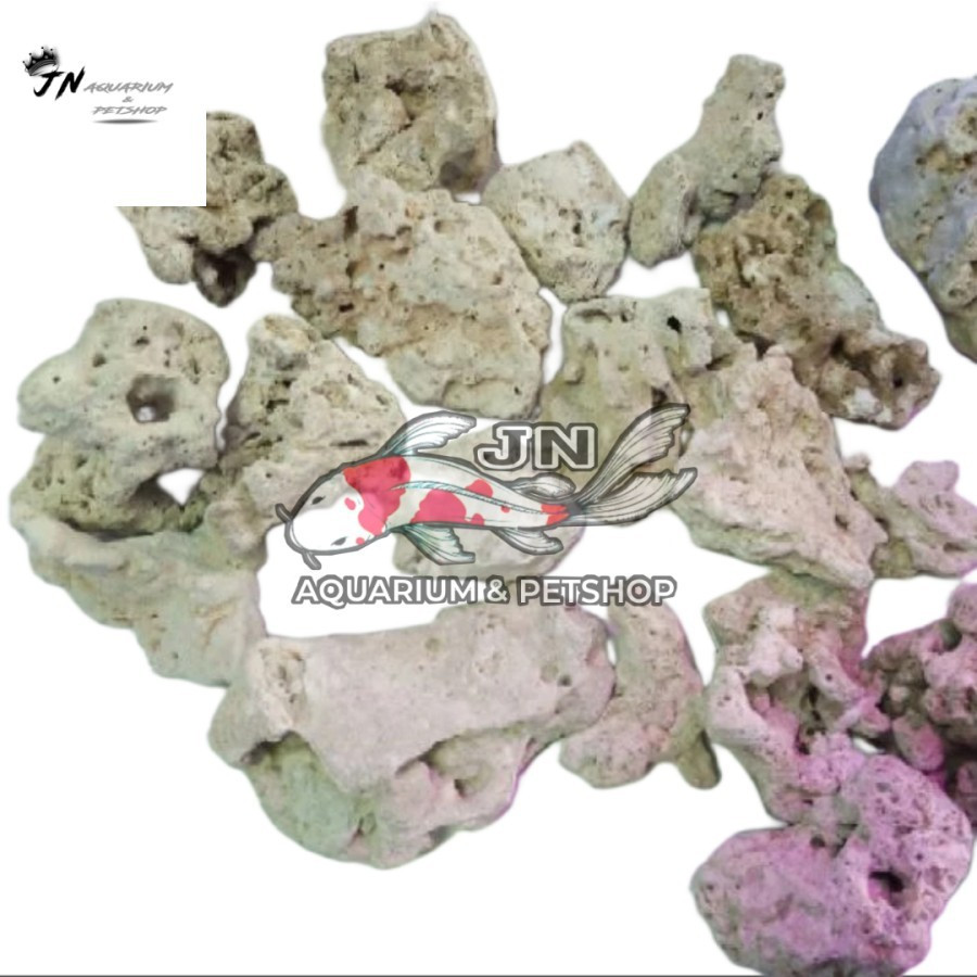 Batu Karang Dead Rock Batu Karang Laut Alami Hiasan Aquarium Laut 1kg