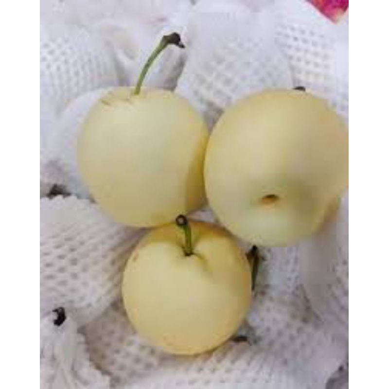 

buah pear 500gram